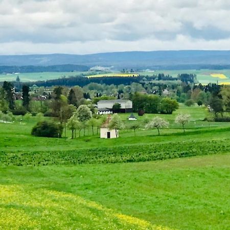 Haus Ketterer Apartman Bad Dürrheim Kültér fotó