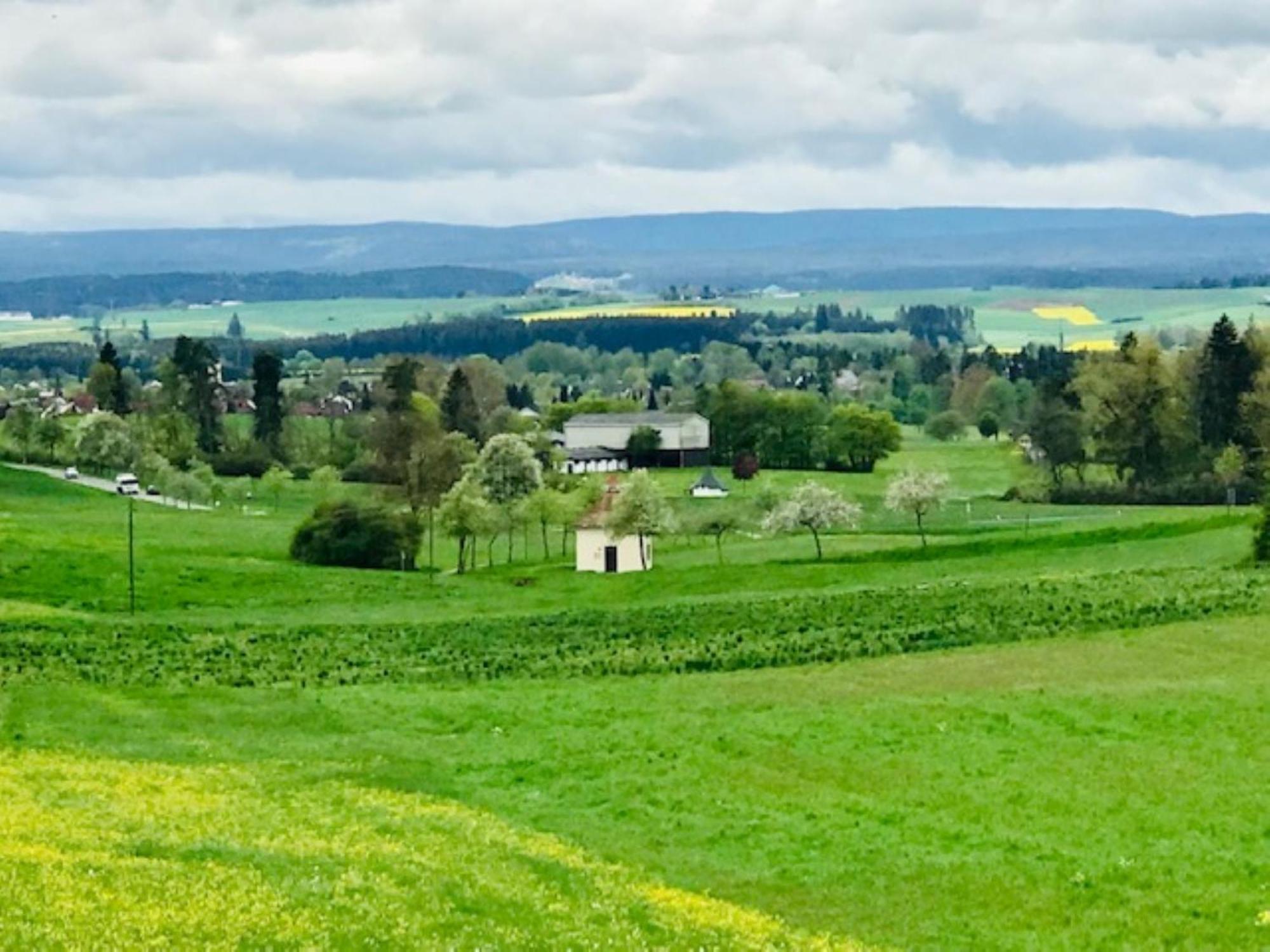Haus Ketterer Apartman Bad Dürrheim Kültér fotó